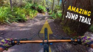 This MTB Network is just so amazing | Blue Derby