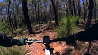 Metasoma, 2 November 2025