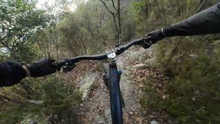 Monte Carmo - Criceto
