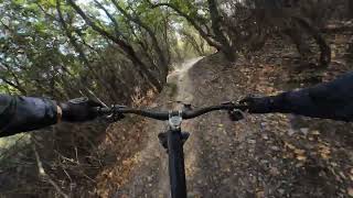 Monte Carmo - Hell Boy