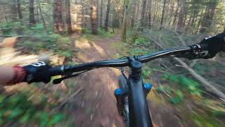 Lower Loop (Counter Clockwise) Trail POV | Dry...
