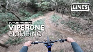 Viperone - Piombino   | LINES