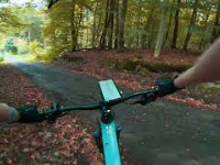 MTB Tecklenburg collection - Absacker