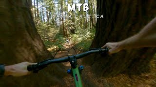 MTB / California | following @peet013