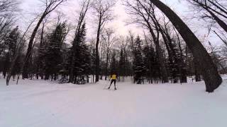 Linden/Peepsock Loop - Nordic Skiing -...