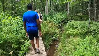 Hiking the Pilgrim Community Forest