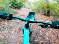 MTB Tecklenburg collection - Brumley Back