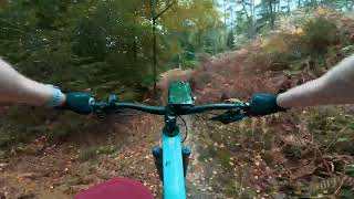 MTB Tecklenburg collection - Raupe