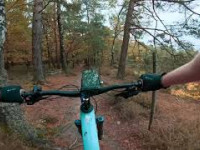 MTB Tecklenburg collection - Kletterwand Trail