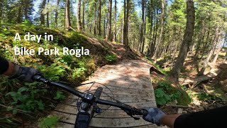 A day in Bike Park Rogla ended with a CRASH...