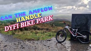 Can The Amflow Handle Dyfi Bike Park?