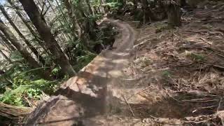 Out of Office @ Whakarewarewa Forest. Rotorua