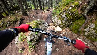 INFINITY & ANIMAL HOUSE | Bikepark...