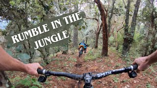 Rumble in The Jungle | Oaxaca MTB