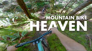 Yeah this place is the best. Mountain bike...