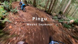  Pingu | Fun, Flowy, and Flat Out on Mt. Seymour