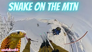 Snake on the Mountain   Sorry @riseandalpine ;)