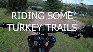 Turkey Chase to Happy Ending