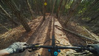 Let The Good Times Roll | Best of Knysna MTB...