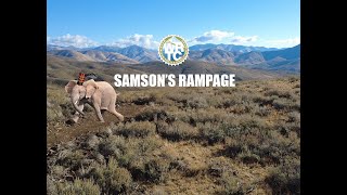 Samsons Rampage