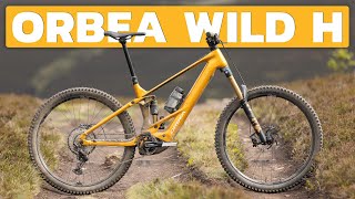 Is Alloy Better Beyond the Price? ORBEA WILD H...