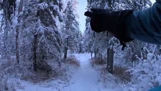 Moose Meadow