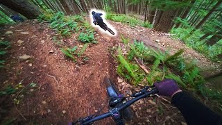 Party laps are the best!