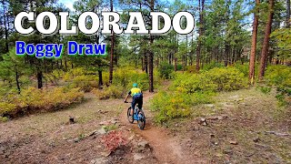 Colorado Mountain Biking: Scenic Trail...