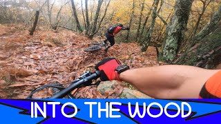 MTB Monti Pisani Vorno Trail Area 01.11.2025...
