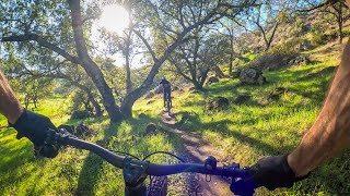 Back to my first true love | Mountain biking...