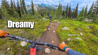 THIS is what MTB dreams are made of! Riding...