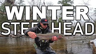 Went Trout Fishing and Caught a BUNCH of Steelhead