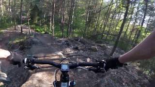 Trail: Bergy