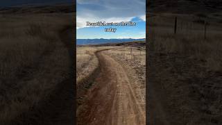 Beautiful Dirt | Bull Elk | Front Range Views