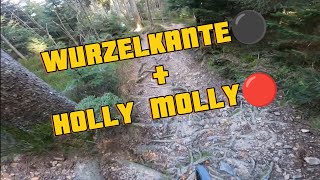 Wurzelkante⚫+Holly Molly - Hergiswil ( NW, ...