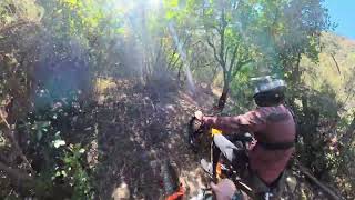 Ca Gianca Trail a Sestri Levante con Insta360...
