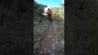 Belvedere, Poggio Pelato #iosonofreeride #mtb...