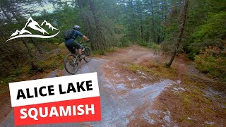 Cooking my brakes on In-N-out Squamish