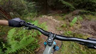 Dunkeld Gnar Lap, DJI Osmo action 4