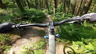 Rostrevor mtb DH Trails