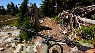 Fantastic Alpine Unicorns