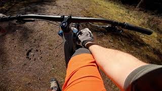 Aberfoyle mtb, Narrow Ruts!