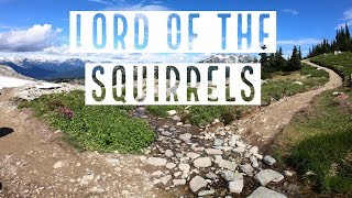 BC Holiday: Lord of the Squirrels