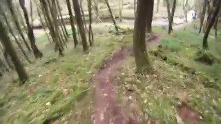 Curragh Wood, Midleton, Cork mtb
