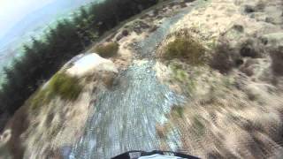 Rostrevor Trails Boulderdash Full Run