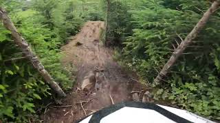Lucozade - Red + Trail - Glencullen Adventure Park