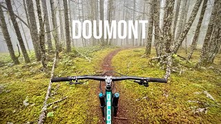 Epic Singletrack in Nanaimo - BC Mountain Biking