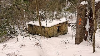 XC Ski - Black Forest Tour - Ruth Will Trail -...