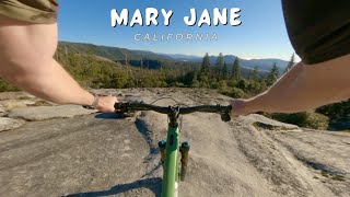 Mary Jane / California / MTB