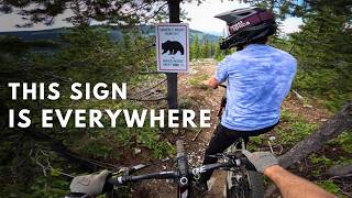 Scariest Ride of the summer! Grizzly Bear VS...